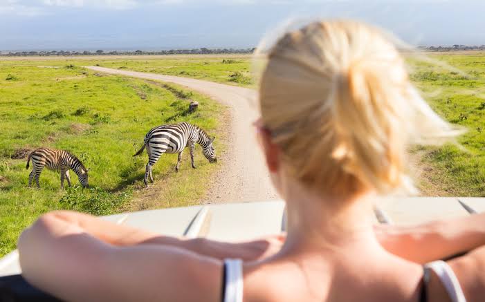 Responsible Travel & Eco-Tourism