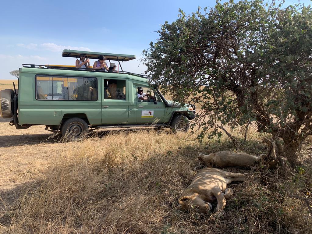 Kuzoka African Safaris Logo